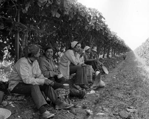 Farmworkers, c. 1970