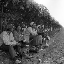 Farmworkers, c. 1970
