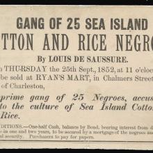 Slave auction advertisement, 1852